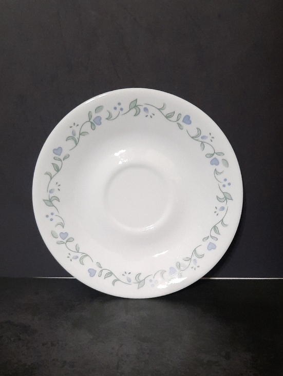 Corelle Other - Corelle Country Cottage Pattern with Pale Blue Hearts and Green Vine Border